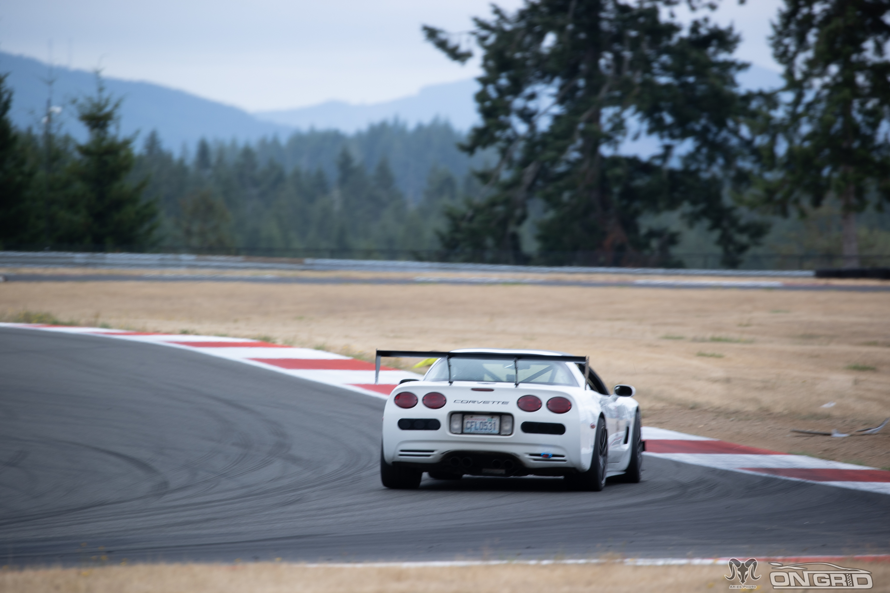 Rear shot of #199 C5 Corvette cornering at Ridge Motorsports Park