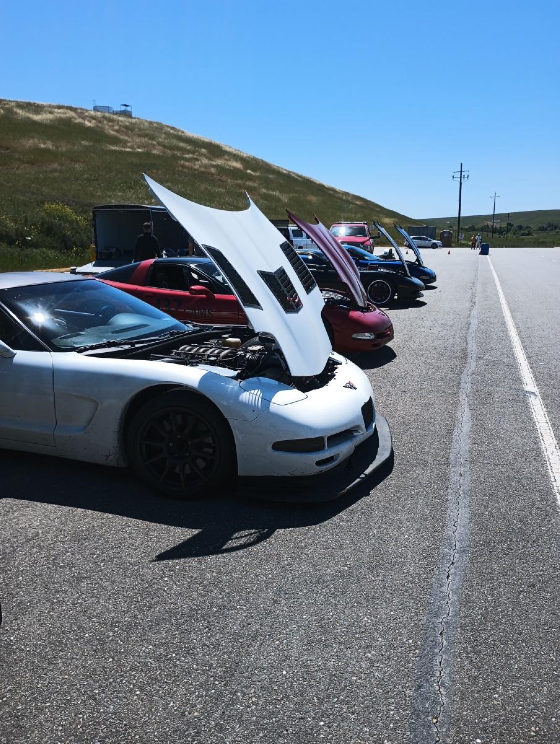 C5 Corvettes lined up At Thunderhill West with their hoods open.